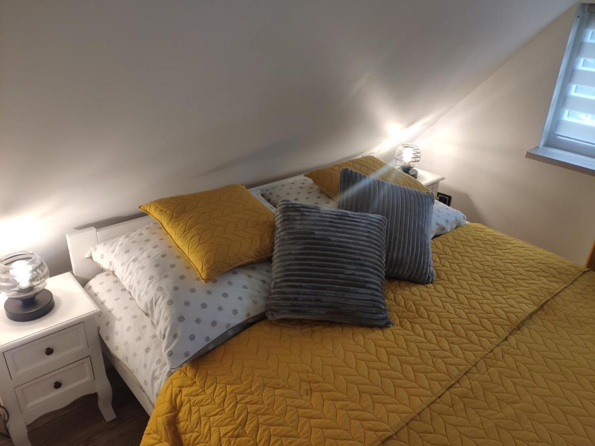 Apartament Alpa 库多瓦-兹德鲁伊 外观 照片