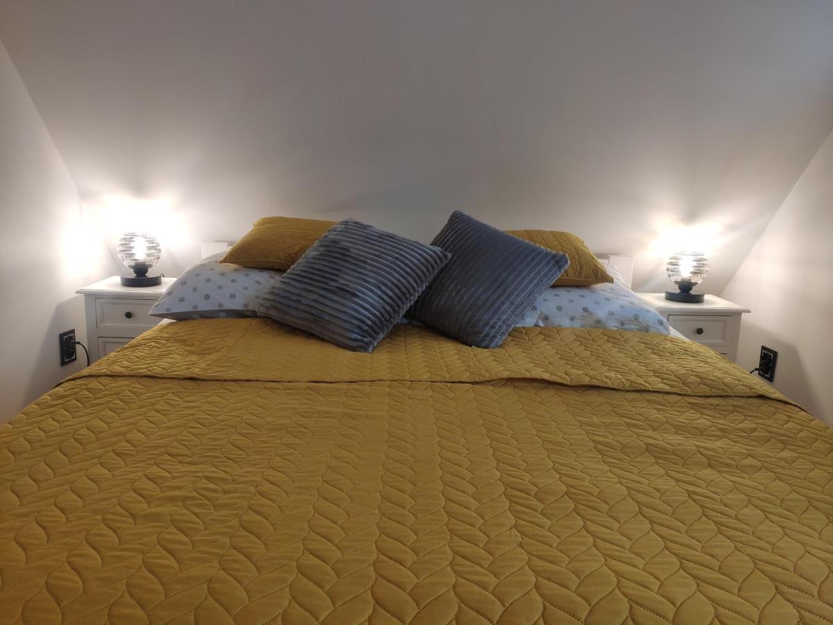 Apartament Alpa 库多瓦-兹德鲁伊 外观 照片